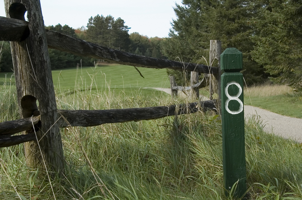 dangerous cart path next to fence